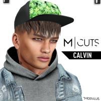 MODULUS CALVIN